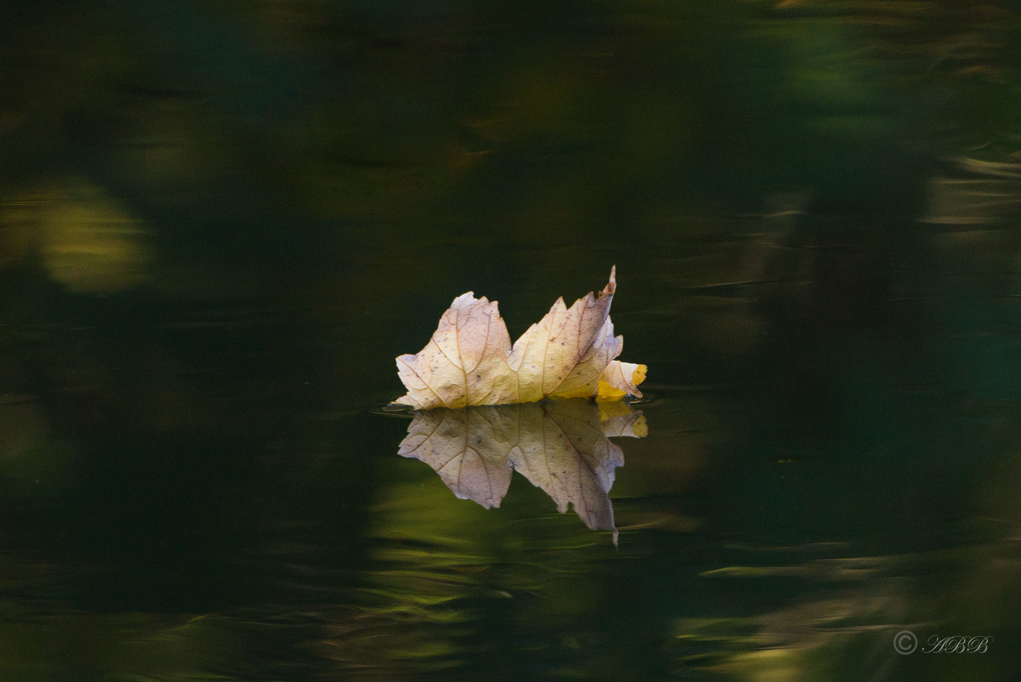 Au fil de l'eau